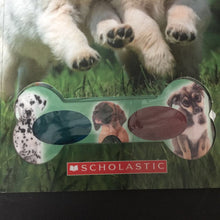 Load image into Gallery viewer, Puppies w/ 3D Glasses -reader educational paperback
