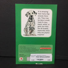 Load image into Gallery viewer, Puppies w/ 3D Glasses -reader educational paperback
