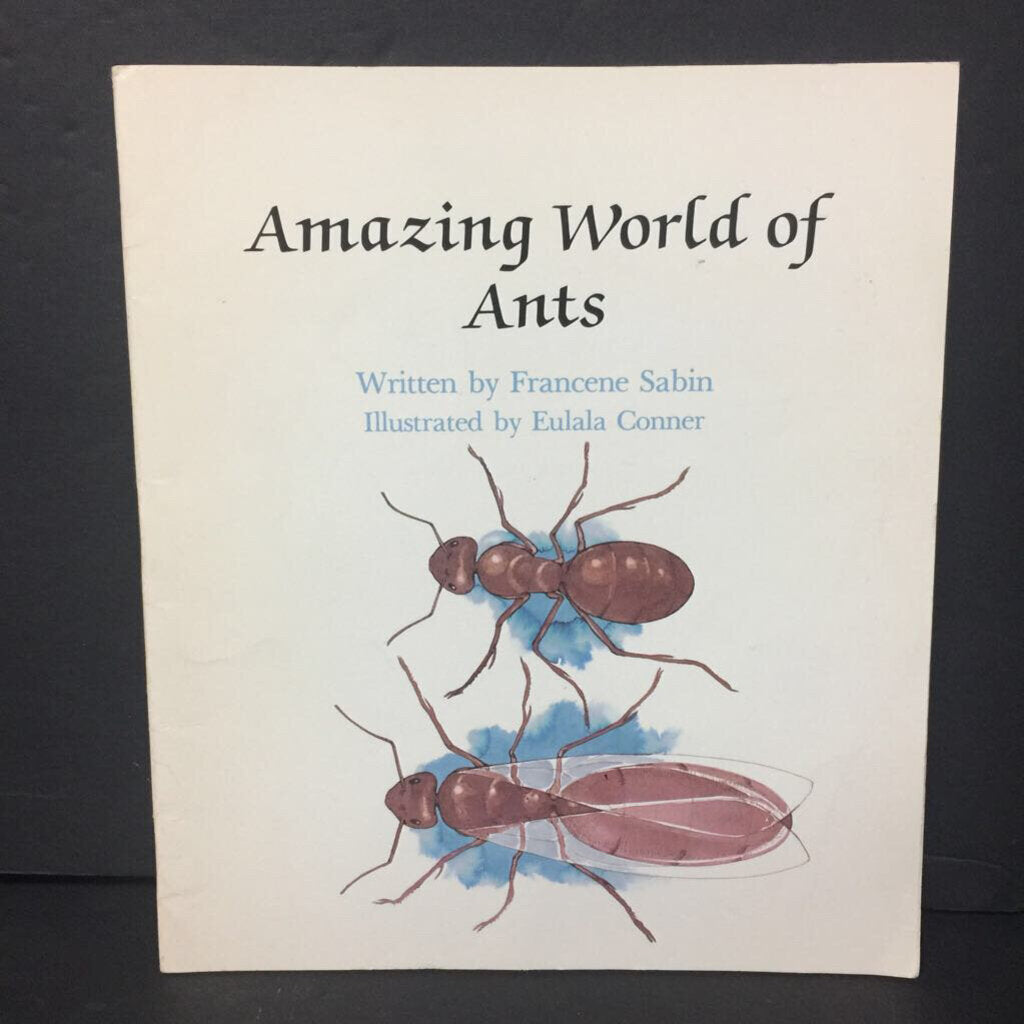 Amazing World of Ants (Francene Sabin) (Insects) -educational paperback