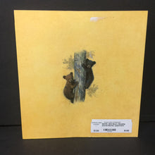 Load image into Gallery viewer, Shh! Bears Sleeping (David Martin) -paperback
