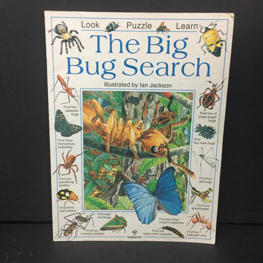 The Big Bug Search (Caroline Young) (Insects) -educational paperback