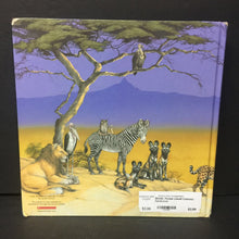 Load image into Gallery viewer, Pinduli (Janell Cannon) -hardcover
