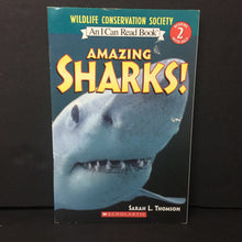 Load image into Gallery viewer, Amazing Sharks! (I Can Read Level 2) (Sarah L. Thomson) (Wildlife Conservation Society) (Sea Animals) -educational reader paperback
