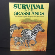 Load image into Gallery viewer, Survival in the Grasslands: Over 25 Animals from the Grasslands of the World (Mammals) (Jane Glover) -educational hardcover
