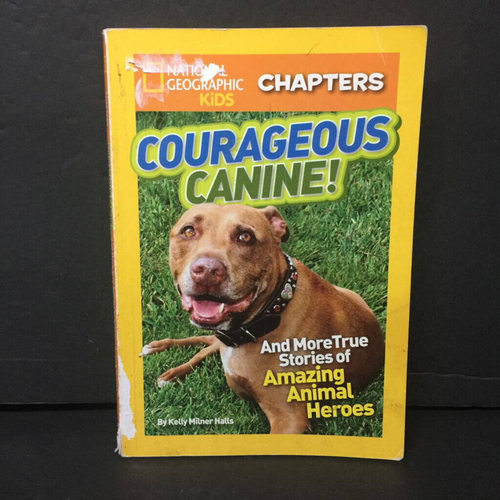 Courageous Canine! And More True Stories of Amazing Animal Heroes (National Geographic Kids) (Kelly Milner Halls) -educational paperback