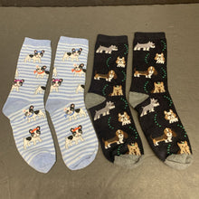 Load image into Gallery viewer, 2pk Girls Dog Socks
