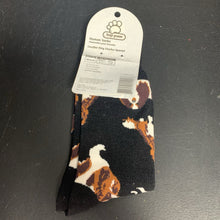 Load image into Gallery viewer, Boys King Charles Spaniel Dog Socks (NEW) (Top Paw)
