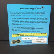 Load image into Gallery viewer, Little Polyglot Books: 38 Objects in Irish/Gaeilge) (Language) -educational paperback
