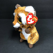 Load image into Gallery viewer, Rusty the Raccoon Beanie Boo

