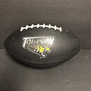Towson Tigers Football