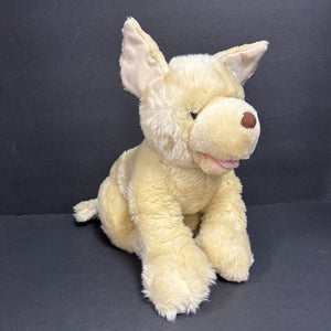 Labrador Dog