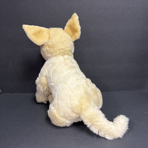 Labrador Dog