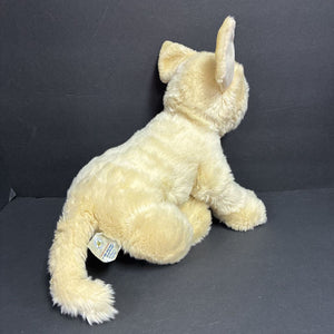 Labrador Dog