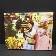 Load image into Gallery viewer, Dorothy,Glinda, &amp; The Wicked Witch Canvas
