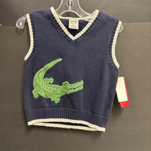 Load image into Gallery viewer, boys gymboree blu/wht sweater vest
