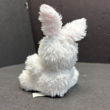 Load image into Gallery viewer, Mini Bunny Plush
