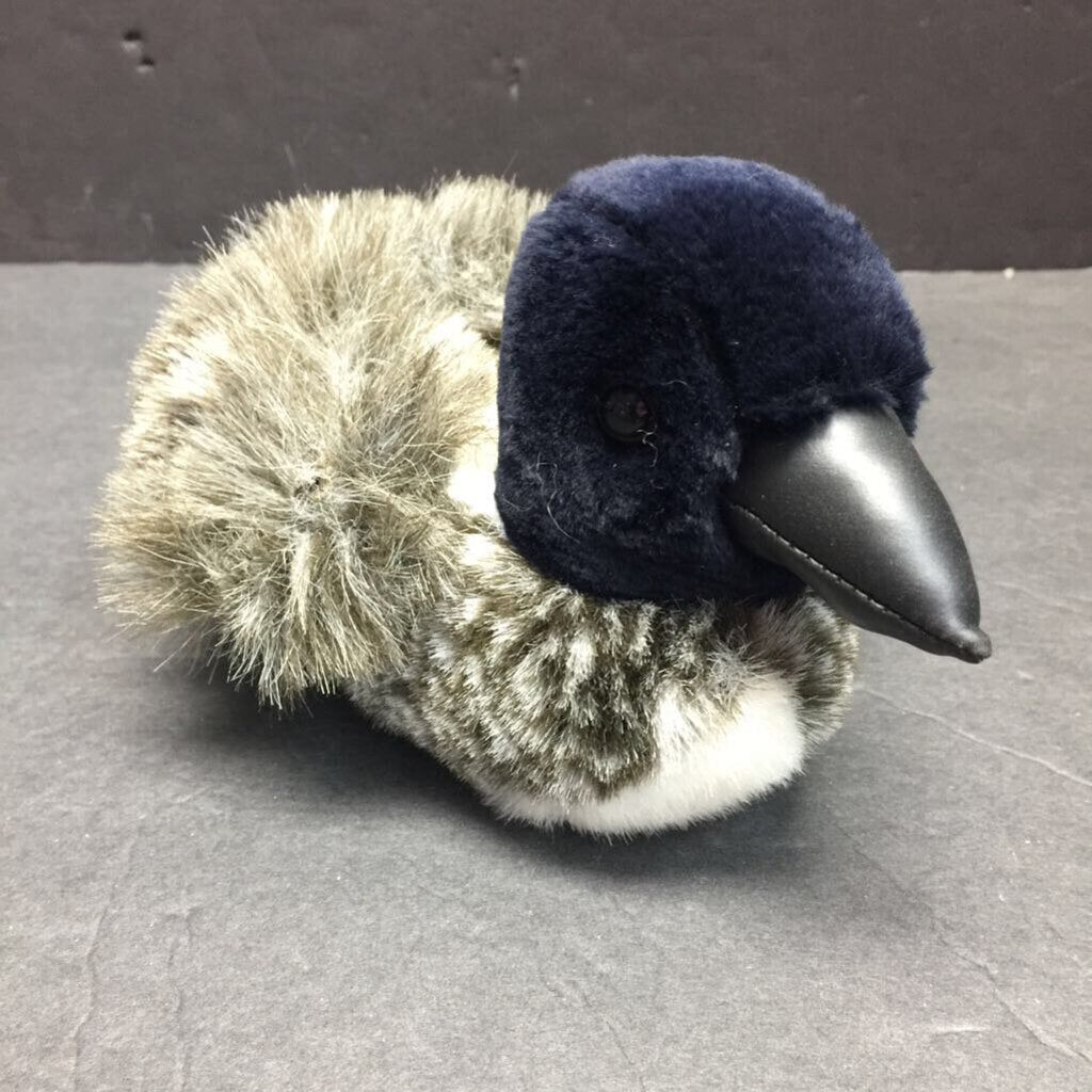 Lottie the Loon Bird w/Sounds (Feldstein)