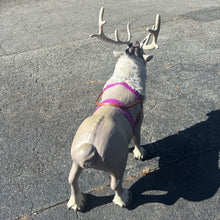 Load image into Gallery viewer, Ride On Reindeer Sven Battery Operated

