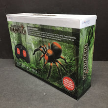 Load image into Gallery viewer, Remote Control Giant Wild Tarantula Spider Battery Operated (NEW) (Propella)
