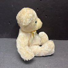 Load image into Gallery viewer, Benny Bear 2008 XXII Plush w/Zipper Pouch (Ben Bridges)
