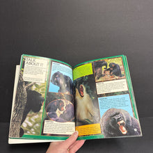 Load image into Gallery viewer, Apes and Monkeys (Eyes on Nature) (John Grassy) (Mammals) -educational paperback
