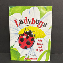 Load image into Gallery viewer, Ladybugs: Red, Fiery, and Bright (Mia Posada) (Insects) -educational paperback
