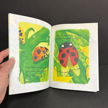 Load image into Gallery viewer, Ladybugs: Red, Fiery, and Bright (Mia Posada) (Insects) -educational paperback
