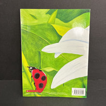 Load image into Gallery viewer, Ladybugs: Red, Fiery, and Bright (Mia Posada) (Insects) -educational paperback
