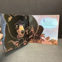 Load image into Gallery viewer, Baby Bear Sees Blue (Ashley Wolff) -paperback
