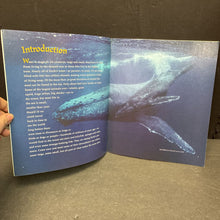 Load image into Gallery viewer, Sea Critters (National Geographic Society) (Slyvia A. Earle) (Sea Animals) -educational paperback
