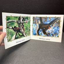 Load image into Gallery viewer, Monkeys (Susan Canizares) (Scholastic Science Emergent Readers) (Mammals) -educational reader paperback
