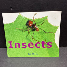 Load image into Gallery viewer, Insects (Julie Haydon) -educational paperback
