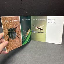 Load image into Gallery viewer, Insects (Julie Haydon) -educational paperback
