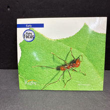 Load image into Gallery viewer, Insects (Julie Haydon) -educational paperback
