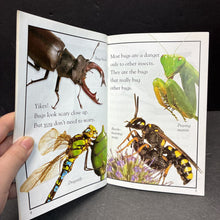 Load image into Gallery viewer, Bugs! Bugs! Bugs! (DK Readers Level 2) (Jennifer Dussling) (Insects) -educational reader paperback
