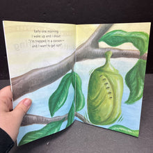 Load image into Gallery viewer, Butterfly Spring (Rhyme Time Readers) (Robin Koontz) (Insects) -educational reader paperback
