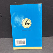 Load image into Gallery viewer, The Race (Hooked on Phonics: 19) (Jan Swanberg) -reader paperback
