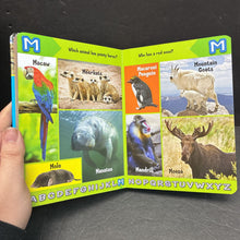 Load image into Gallery viewer, Alligator to Zebra ABCs: Learning Your ABCs with Animals (Language) -educational board
