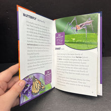 Load image into Gallery viewer, Bugs (Learning to Read Level 3) (Insects) -educational reader hardcover

