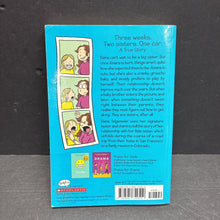 Load image into Gallery viewer, Sisters (Raina Telgemeier) (Graphic Novel) -chapter paperback
