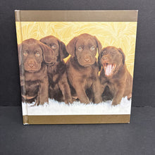 Load image into Gallery viewer, Labs: Lightweights-Littermates (Sharon Montrose) (Mammals) -educational hardcover
