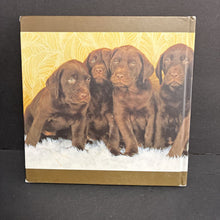 Load image into Gallery viewer, Labs: Lightweights-Littermates (Sharon Montrose) (Mammals) -educational hardcover
