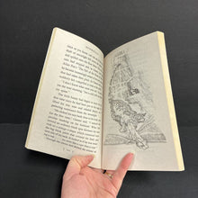 Load image into Gallery viewer, A Rabbit-Tale of Mystery (Bunnicula) (Deborah &amp; James Howe) -character series paperback
