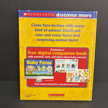 Load image into Gallery viewer, Animal Faces: Bonus Baby Faces (Scholastic Discover More) (Mammals) (Penelope Arlon &amp; Tory Gordon-Harris) -educational hardcover
