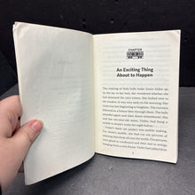 Load image into Gallery viewer, Journey on a Runaway Train (The Boxcar Children: Great Adventure) (Gertrude Chandler Warner, Dee Garretson, and JM Lee) -series paperback
