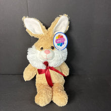 Load image into Gallery viewer, Bunny Plush (NEW) (Nanco)
