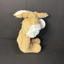 Load image into Gallery viewer, Bunny Plush (NEW) (Nanco)
