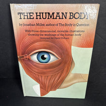 Load image into Gallery viewer, The Human Body (Jonathan Miller) (Anatomy) -educational pop-up hardcover
