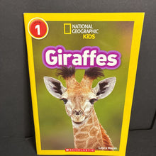 Load image into Gallery viewer, Giraffes (National Geographic Kids Level 1) (Laura Marsh) (Mammals) -educational reader paperback

