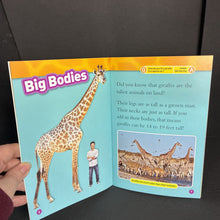 Load image into Gallery viewer, Giraffes (National Geographic Kids Level 1) (Laura Marsh) (Mammals) -educational reader paperback
